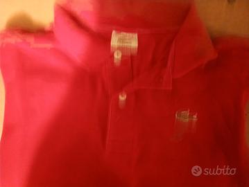polo Lacoste 