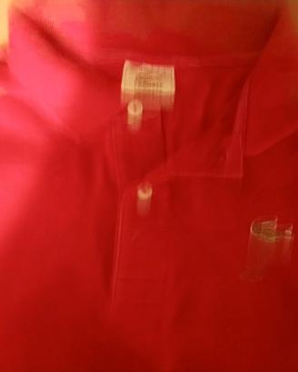 polo Lacoste 