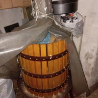 torchio