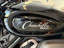 chinchilla-500