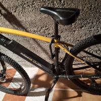 Bicicletta elettrica