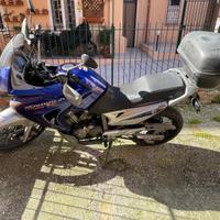 honda XL 650 V transalp