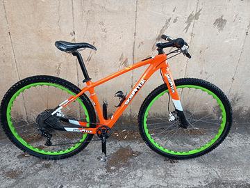 bici MTB 29 " carbonio