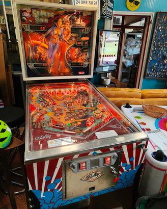 flipper  bally future spa