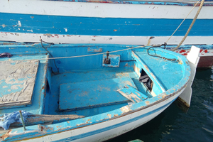 Gozzo in vetroresina