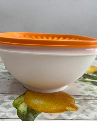 Contenitore Tupperware