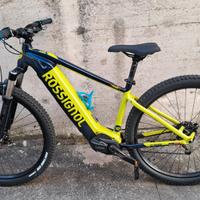 ebike mtb etrack 29