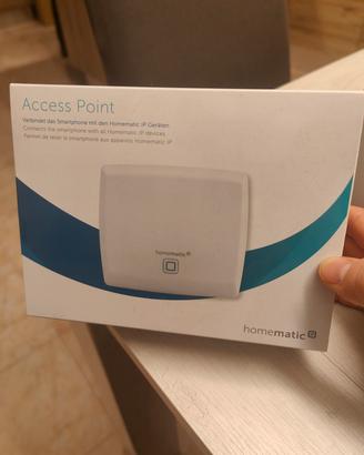 Access point