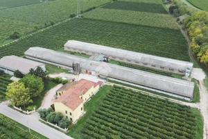 CAPANNONE A COLOGNOLA AI COLLI