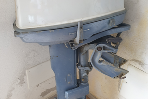 Motore Evinrude 25 cv 2t. Gambo lungo