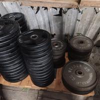 Pesi Dischi Foro 50 mm 