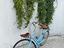Immagine 6