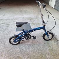 Bicicletta pieghevole edizione limitata