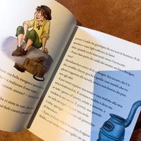 libro Il piccolo lord