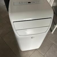 Pinguino condizionatore