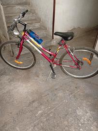Mountain bike