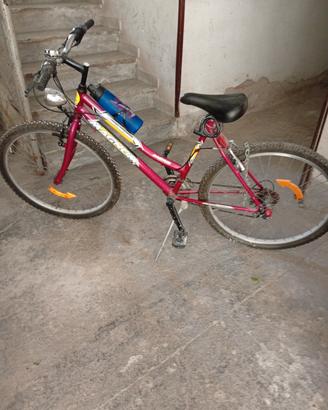 Mountain bike