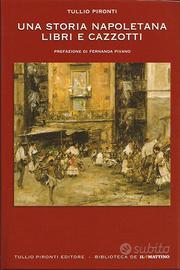 Una Storia Napoletana Libri e Cazzotti