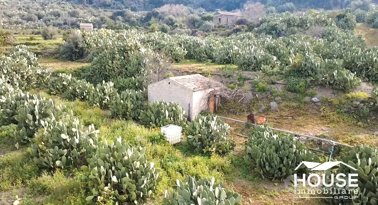 SANTA MARIA DI LICODIA AZIENDA AGRICOLA - Altro