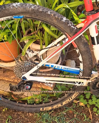 bicicletta