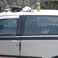 Deflettori Punto GT,Sporting,3 porte