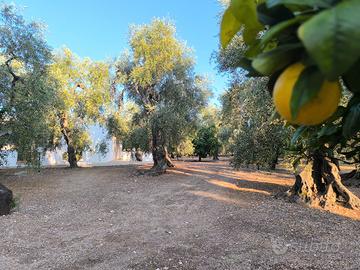 LAST MINUTE Casa Vacanza in villaggio