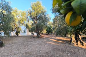 LAST MINUTE Casa Vacanza in villaggio