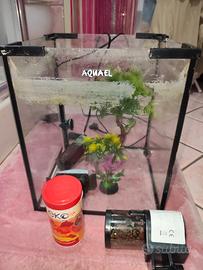 Acquario 20 LT cubo