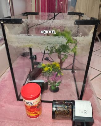 Acquario 20 LT cubo