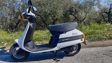 Peugeot metropolis