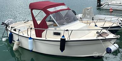 Tripesce  "Hippy 20"