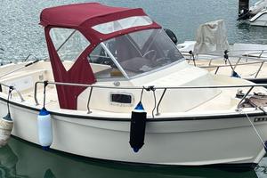 Tripesce  "Hippy 20"