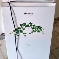 Hisense frigorifero RR121D4AWE 50%