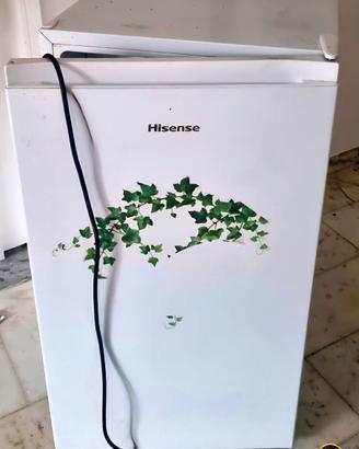 Hisense frigorifero RR121D4AWE 50%