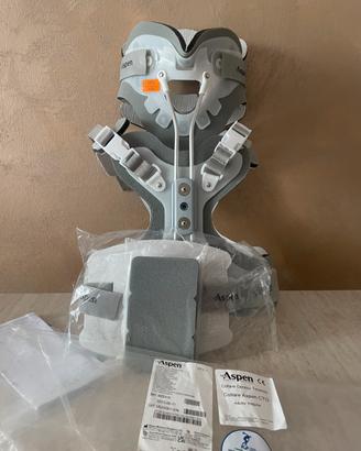 Busto Aspen