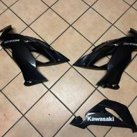 Carene Kawasaki Zx6r 636