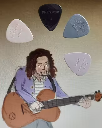 4 Plettri per Chitarra Acustica