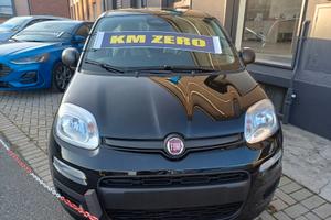 Fiat Panda Pandina 1.0 FireFly 65 CV Hybrid Icon