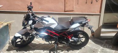  moto benelli bn 125