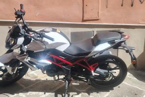  moto benelli bn 125