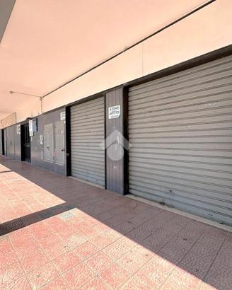 ATTIVITÀ A SAN SEVERO