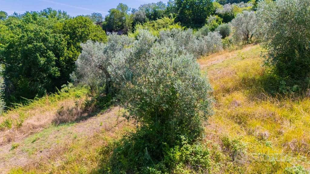Terreno di 17299 m² a Mompeo - Vista 5