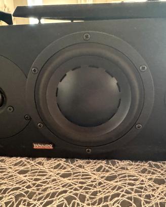 Dynaudio audience 42c