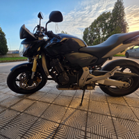 Hornet 600