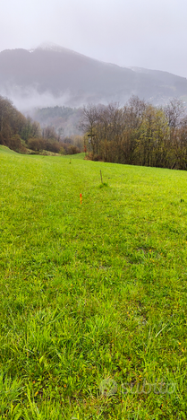 Casera con 2000mq di terreno pianeggiante