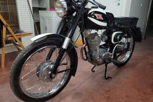 moto morini