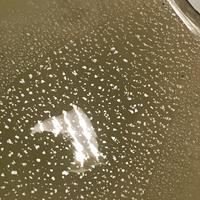 Lampadario in vetro Murano color champagne