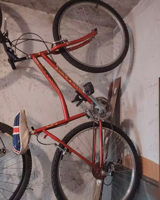 bici rigida da città 