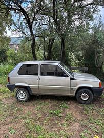 Fiat Panda young