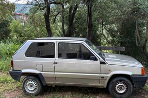 Fiat Panda young